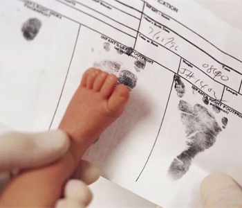 孕妇梦见鸭子什么意思，保定代怀孕梦到鸭子是生男还是生女？